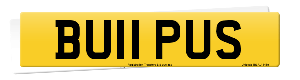 Registration number BU11 PUS